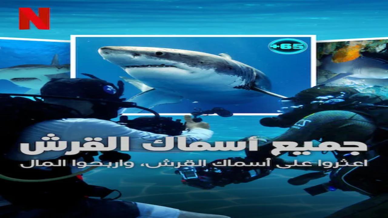 برنامج All the Sharks الموسم الاول الحلقة 2 مترجمة